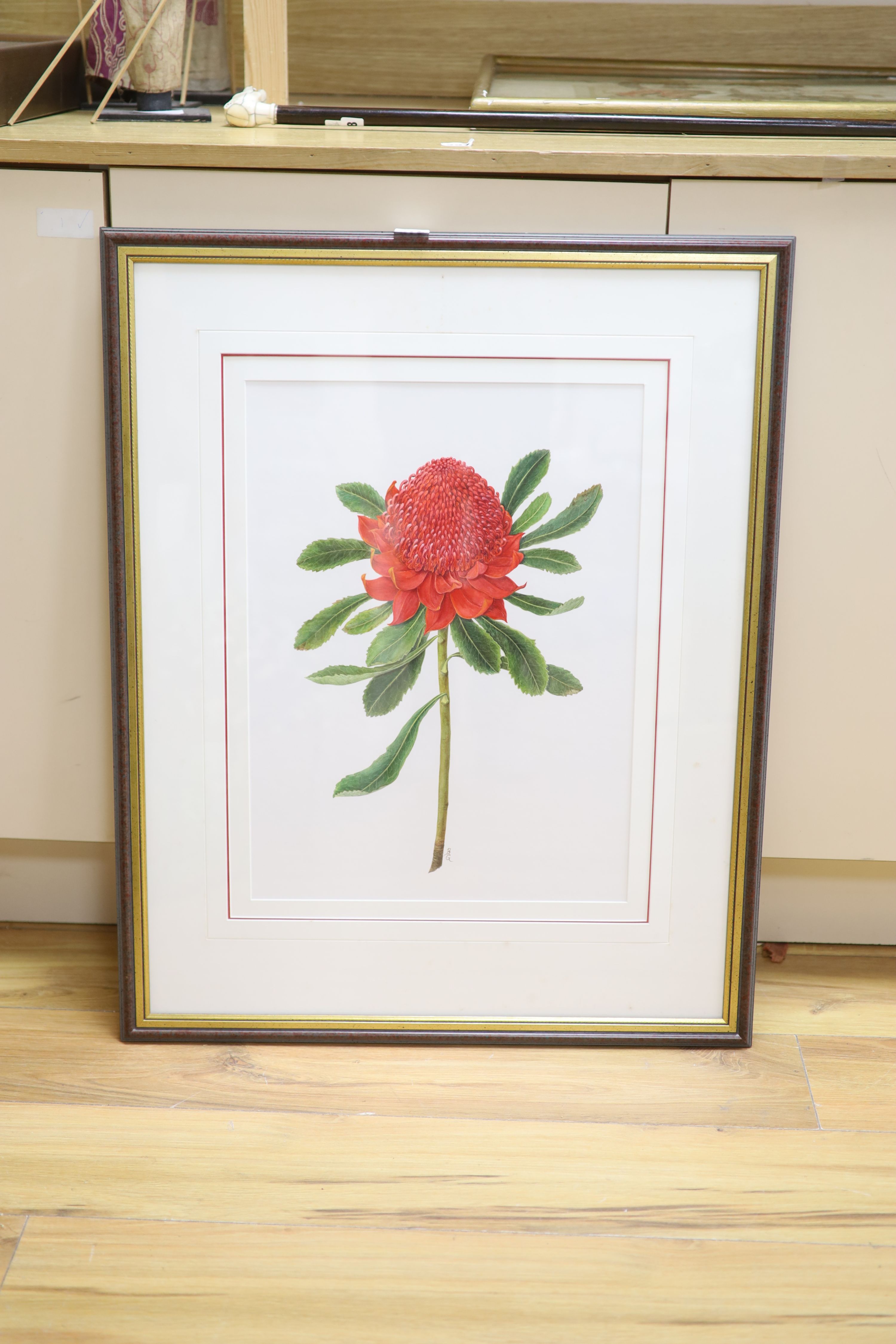 English School, watercolour on paper, Botanical study of an exotic flower, initialled BG, 49 x 36cm
